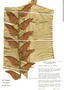 Heliconia pogonantha var. pogonantha, Costa Rica, W. J. Kress 79-1102, F