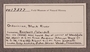 PP 19377 Label