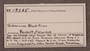 PP 19385 Label