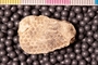PP 19419 a1-n