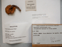 Informal photography of specimens, packaging and labels taken during molecular phylogenetic work.