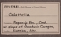 PP 19981 Label