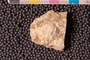 PP 22100 an