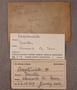 UC 12319 Label