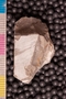 PP 21638 bn