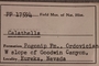 PP 17594 Label