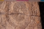 PP 17618 acu