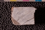 PP 19988 an