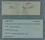 P 17991 label