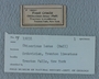 P 19231 label