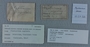 PE 53696 label