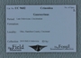 UC 9602 label