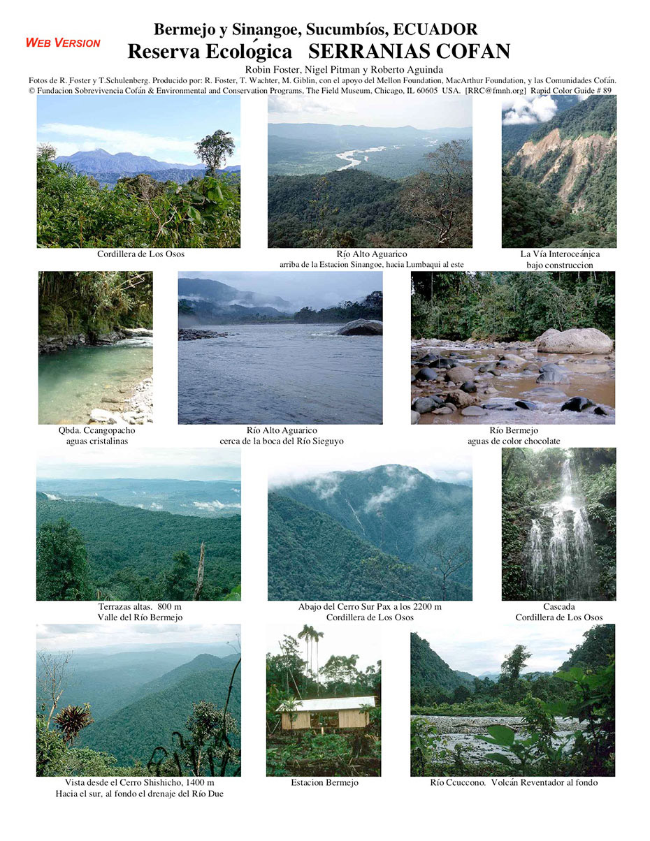 Selected Rare Plants of Cofan Bermejo Ecological Reserve