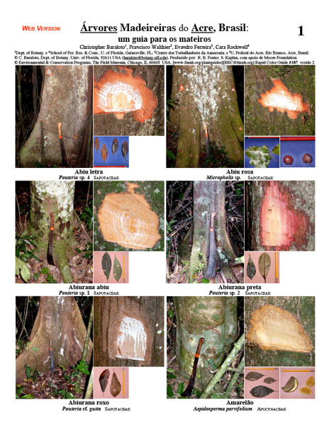 Árvores Madeireiras do Estado do Acre