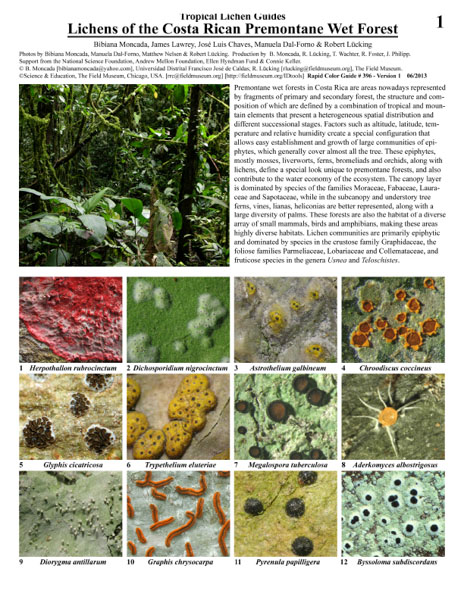 Lichens of the Premontane Humid Forests of Costa Rica