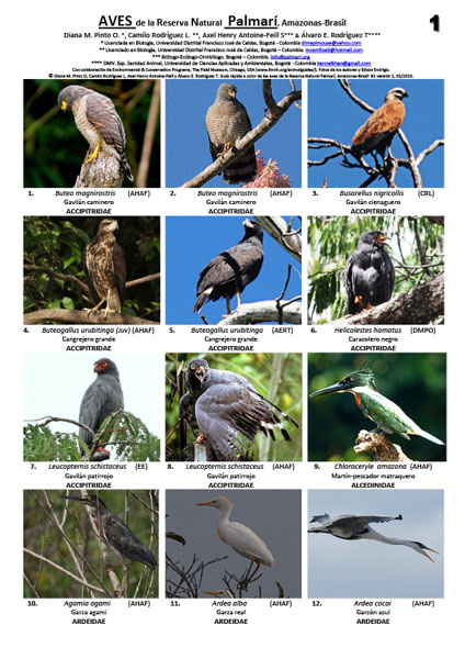 Birds of the Palmarí Natural Reserve