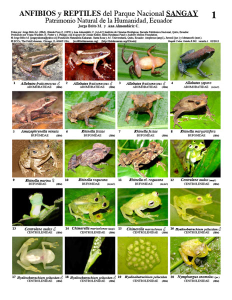 Amphibians and Reptiles of Sangay Park