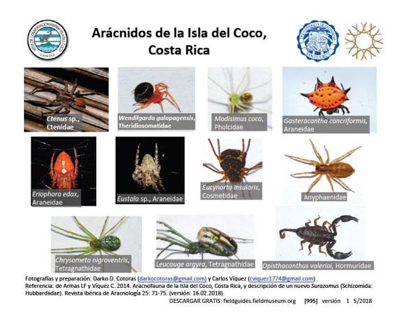 Aranhas do Parque Nacional Isla Coco