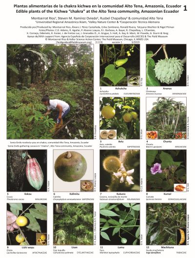 Edible Plants of the Kichwa chakra at the Alto Tena community