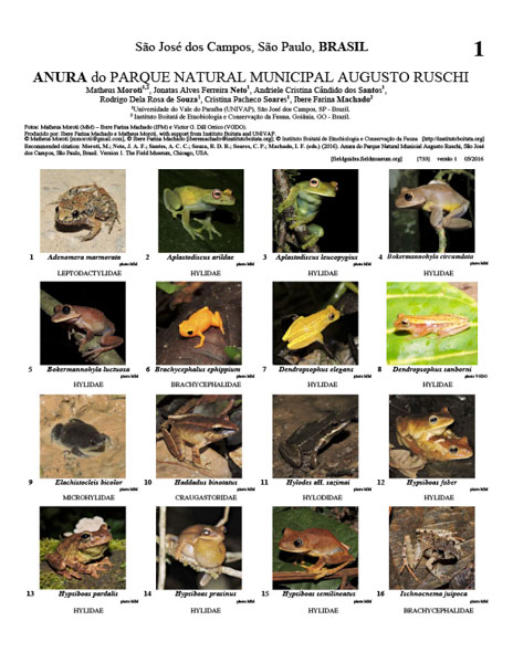 Anura del Parque Natural Municipal Augusto Ruschi