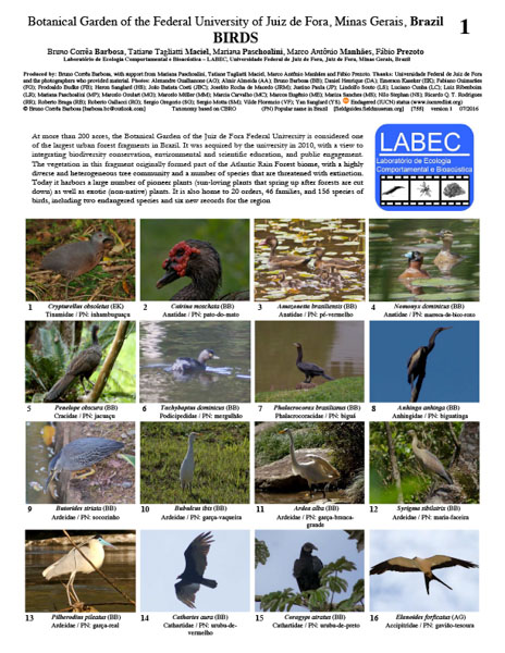 Aves do Jardim Botânico de Juiz de Fora
