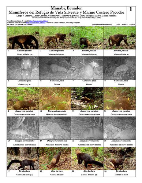 Mammals of the Pacoche Wildlife and Marine Refuge