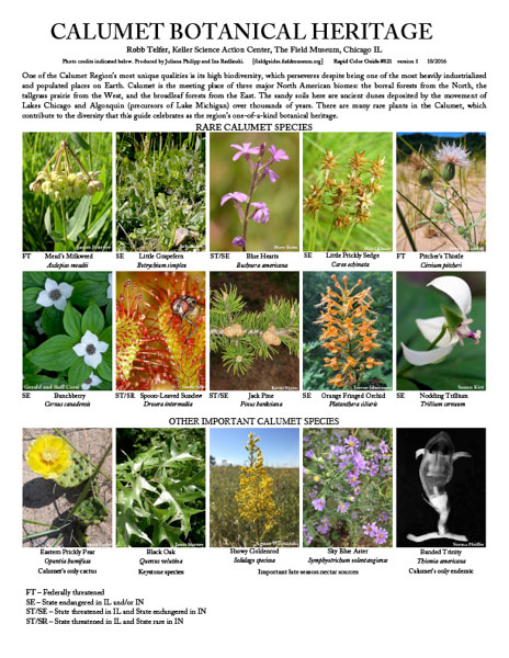 Calumet Botanical Heritage