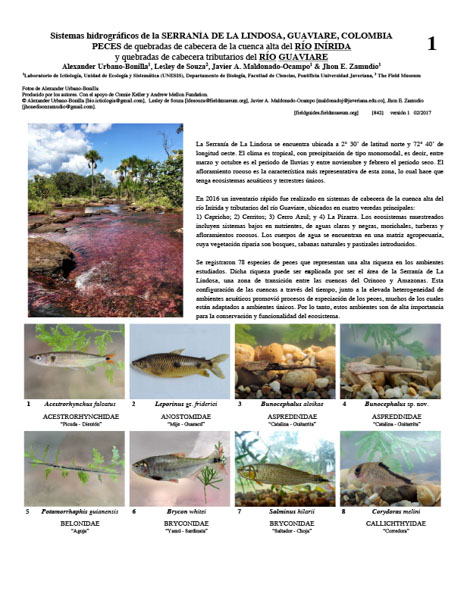 Fishes of the Inírida and Guaviare Rivers