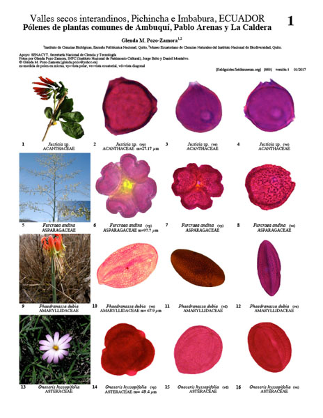 Poléns de Plantas Comuns dos Vales Secos Interandinos