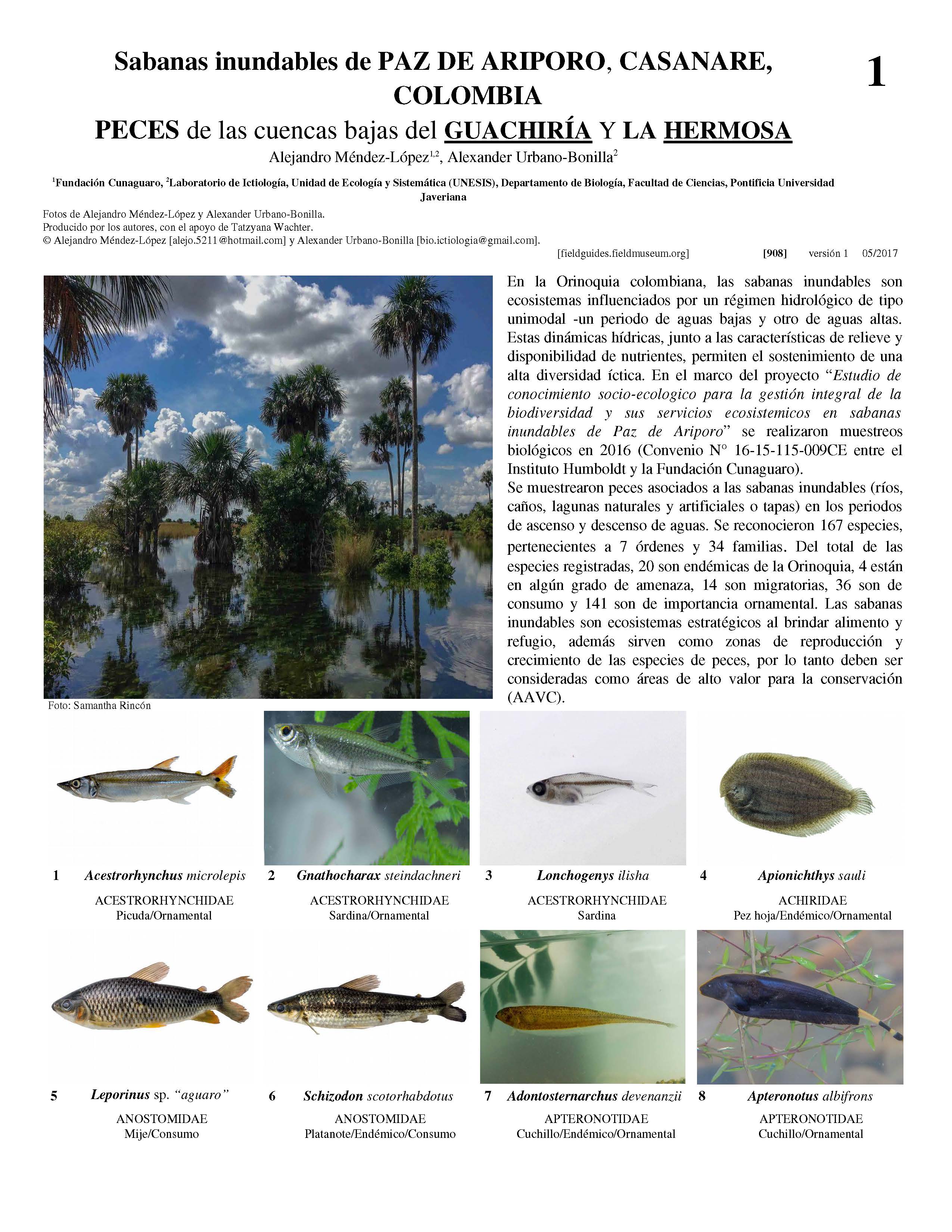 Fishes of Guachiría y La Hermosa River Basins