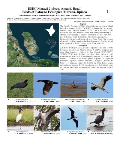 Birds of Maracá-Jipioca Ecological Station