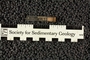 UC 37635