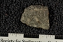 UC 51506 single reverse