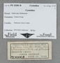 PE 33381 B label