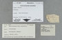 PE 5007 label