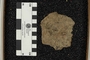 UC 470 A fossil
