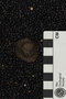 UC 782 B fossil