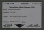 PE 57715 label