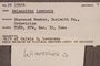 PP 23914 Label