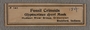 P 141 part2 label