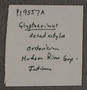 P 19557 A label