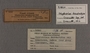 P 19560 label