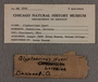 PE 2144 label