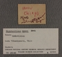 UC 19146 label