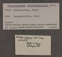 UC 19172 label