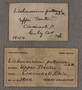 UC 19152 label