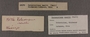 UC 19175 label