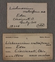 UC 19204 label