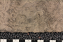 UC 19204 closeup