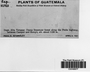 Label image for C0049697F
